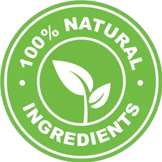 Nerve Recovery Max 100% Natural